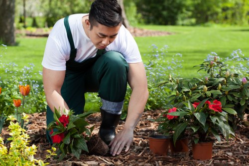 Garden clearance team removing green waste in a residential street