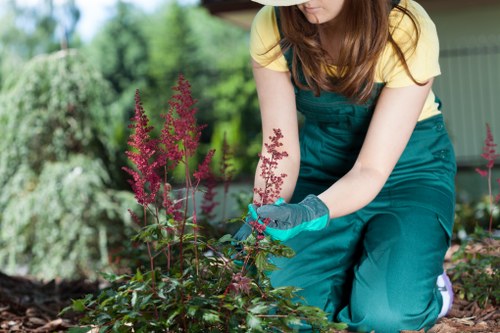 Gardener securing a hedge with safety gear