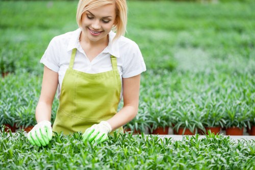 A young woman with short blonde hair is working outdoors in a garden, wearing a white shirt, a bright green apron, and matching gloves. She is tending to a dense, lush row of small green plants that are neatly organized in a garden bed with a low brick border. In the background, there are additional garden beds with similar plants, and the surrounding environment features a well-maintained lawn with vibrant green grass extending into the distance. The garden is illuminated by natural daylight, suggesting a clear, sunny day, and the scene reflects a well-kept outdoor space typical of residential gardens in Finsbury Park or nearby areas. This image exemplifies garden maintenance activities aligned with professional gardening services such as those provided by Gardening Services Finsbury Park, emphasizing healthy plant growth and meticulous care in a landscaped outdoor environment.