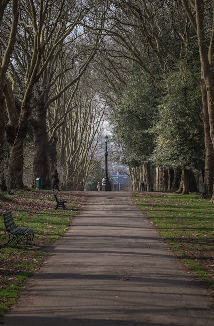 A paved pathway in a park lined with tall, leafless trees creating a canopy overhead, with some evergreen shrubs and bushes along the edges. The path is bordered by well-maintained grass areas and fea